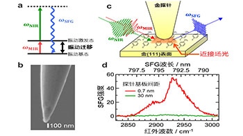 日本分子研成功获取突破光衍射极限的分子结构与取向信息，实现10纳米级空间分辨率