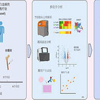 京都大学团队发现CAR-T细胞疗法生物标志物，有望提升急性淋巴细胞白血病治愈率