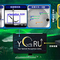 名古屋大学开发AI工具，解析生物复杂行为