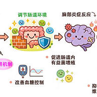 鱼类蛋白质可预防衰老导致的短期记忆衰退，通过改善肠道环境抑制脑部炎症