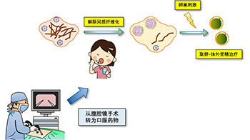顺天堂大学开发出新型不孕症治疗方法：口服肾病药物“非奈利酮”对早发闭经有效