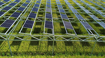 千叶大学等调查光伏板对水稻的“遮阳伞”效果，可维持产量