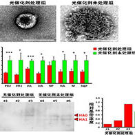 东京大学等成功利用光催化剂灭活高致病性禽流感病毒