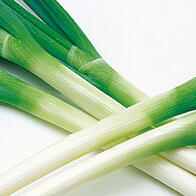 埼玉工业大学用深谷葱制造塑料产品，升级废弃物回收提振农户活力