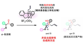大阪大学利用笼状结构新型试剂，成功控制分子的空间排列