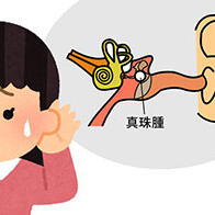 慈惠医科大学发现治疗急性白血病的药物对难治性慢性中耳炎有效