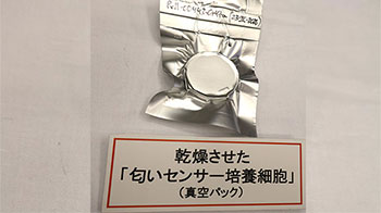 日本农研机构成功制备出可常温干燥保存的气味传感器培养细胞