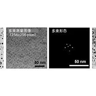 东京科学大学等开发出新型多束型电子显微镜技术，实现高速、高分辨率、低剂量