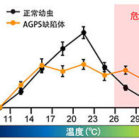 日本生理研等发现规避疼痛和高温至关重要的脂质，并在果蝇中得到证实