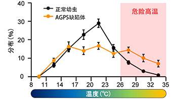 日本生理研等发现规避疼痛和高温至关重要的脂质，并在果蝇中得到证实