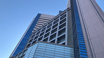 星药科大学等发现：疼痛可能加速乳腺癌进展，涉及感觉神经释放的物质