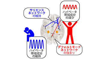 高知工科大学：明确大脑活动峰值时间点，适应压力的关键在压力出现“1小时后”