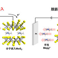 东京科学大学成功实现层状半导体电化学写入，证实手性介导的自旋极化可逆切换