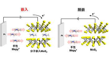 东京科学大学成功实现层状半导体电化学写入，证实手性介导的自旋极化可逆切换