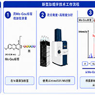 九州大学创立可测定肽序列的新型肽组学技术