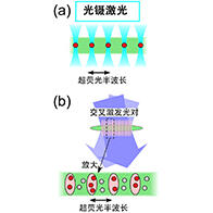 茨城大学与青山学院大学开发出无需谐振器即可调控光传播模式的新方法，向探明超荧光量子性大幅迈进