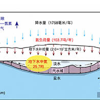 熊本大与地球研：地下淡水层可净化约三分之一地表氮污染，定量评估自然净化能力