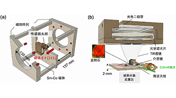 东京科学大学等利用金刚石量子传感器实现微弱磁场的近距离高灵敏度测量