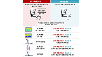 早稻田大学证实大腿后侧肌群力量训练也能使肌肉变柔韧