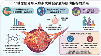 东京都健康长寿医疗中心发现应激指标“戊糖啶”浓度与老年人低肌肉量相关，即使非糖尿病人群也可作为指标