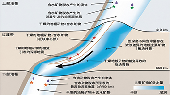 冈山大学揭示数百公里深处的深源地震产生原因，板块内部的水迁移是重要因素