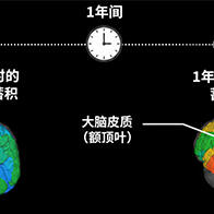 QST首次证实进行性核上性麻痹患者脑内的tau蛋白持续增加，并与症状进展相关