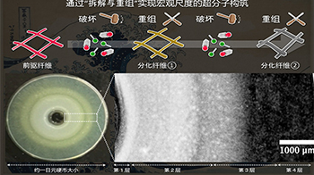 京都大学开发出仿生超分子构筑新方法，可自主组装多种空间结构