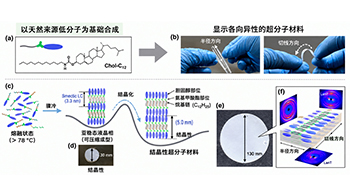京都大学利用低分子化合物开发出结晶性超分子材料，有望助力下一代材料研发