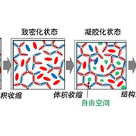 九州大学发现凝胶化后的粘合剂仍可发生结构重排，有望成为汽车与飞机轻量化的新型粘接技术