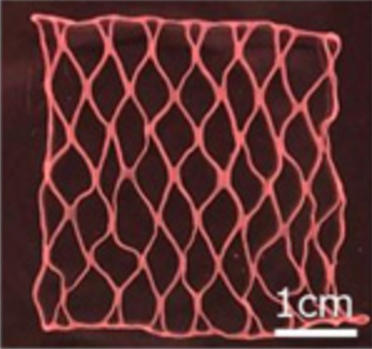 京都大学等制作的3厘米大小的网眼状人工心脏组织