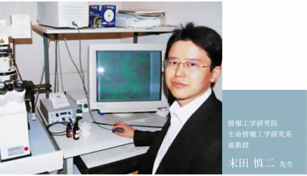日本开发核膜染色新技术或用于癌症治疗