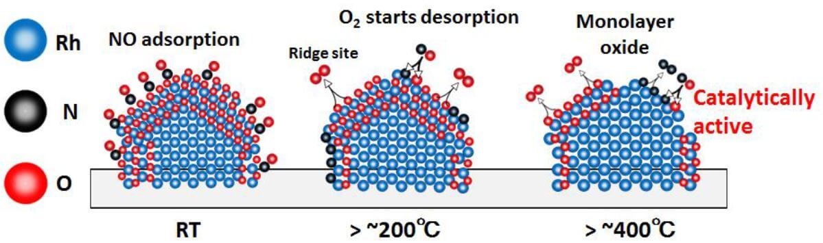 根据实验结果推测的铑催化剂氧化还原反应模式图