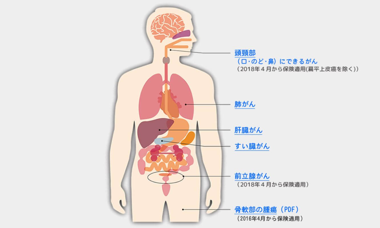 重粒子线癌症治疗成果报告会在东京举行，公开死亡率和副作用等数据
