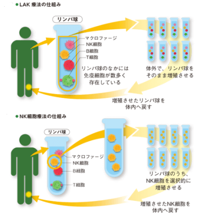 细胞治疗与再生医疗，中日监管大不同（上）