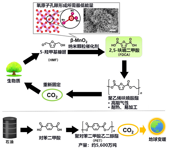 “东工大开发成功新型催化剂，可用生物质材料合成塑料