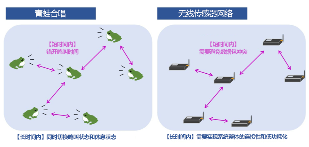 筑波大学:青蛙合唱与通信系统