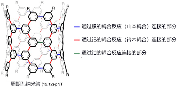 新纳米管:结构能自由设计且特质可控的周期孔纳米管pNT