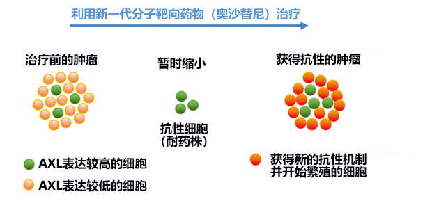 日本查明肺癌细胞如何在分子靶向药物中存活