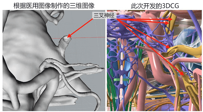 东大开发全球最精巧的头部三维CG数据，教育和研究用途免费提供