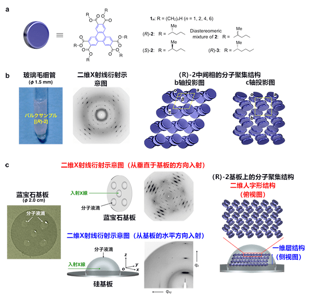 东工大发现既非晶体也非液晶,更非液体的新物质形态