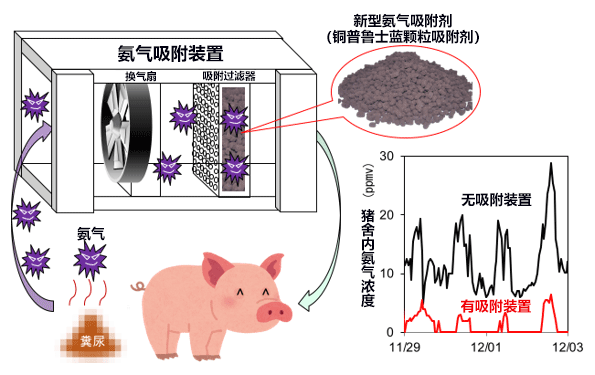 产综研开发可再利用的氨吸附剂,可用于猪舍除臭等