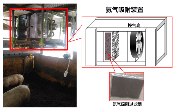 产综研开发可再利用的氨吸附剂,可用于猪舍除臭等