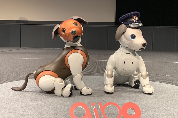 索尼投放机器狗爱宝巧克力版,能叼纸巾