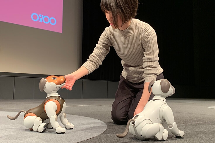 索尼投放机器狗爱宝巧克力版,能叼纸巾