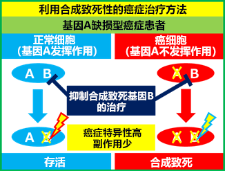 日本发现治疗ARID1A基因突变癌症的新方法