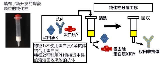 日本产综研开发出可有效分离和纯化抗体的陶瓷颗粒