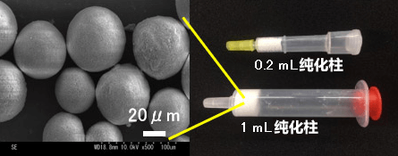日本产综研开发出可有效分离和纯化抗体的陶瓷颗粒