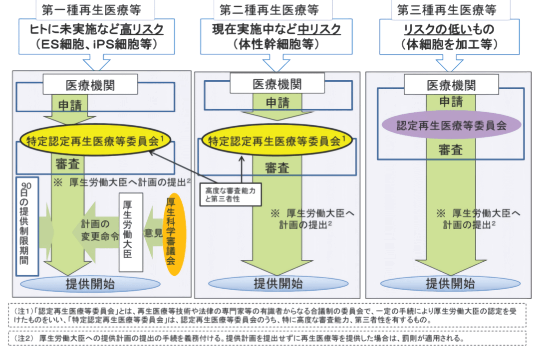 细胞治疗、再生医疗,中日监管大不同(下)