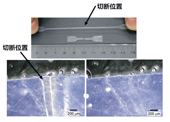 理研开发出可在各种环境中自我修复的新型功能性聚合物