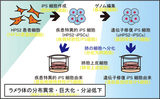 小碗旁边的生菜比拟春暖花开的原野